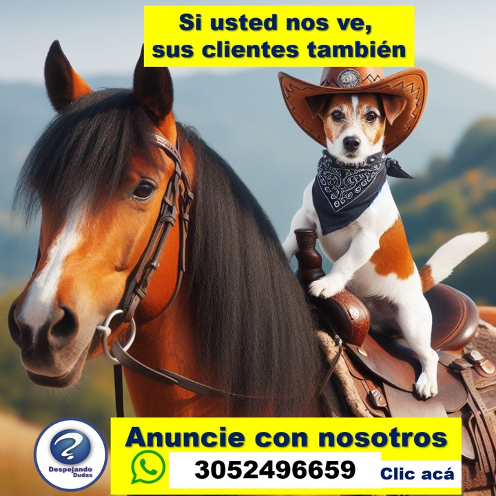 Si usted no ves, sus clientes también